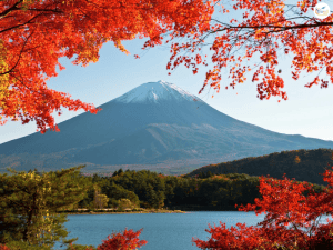 เที่ยวญี่ปุ่น