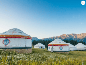 เที่ยวมองโกเลีย