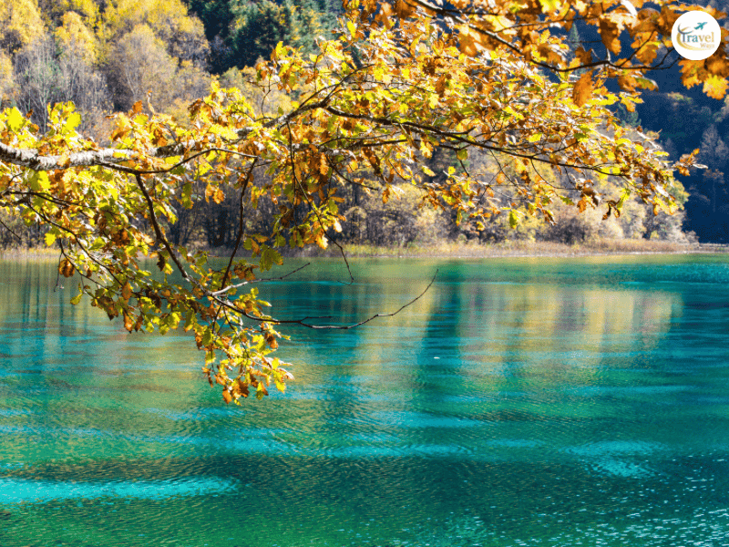 เที่ยวจิ่วจ้ายโกวช่วงใบไม้เปลี่ยนสี