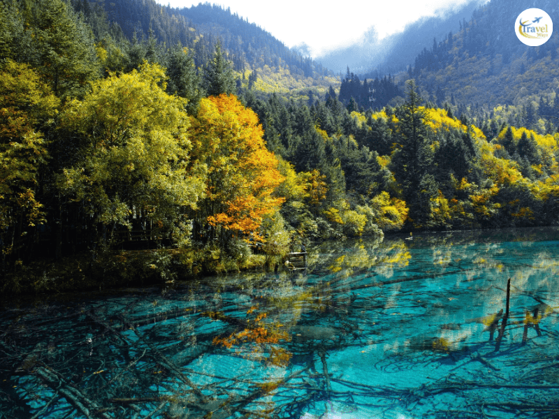 เที่ยวจิ่วจ้ายโกวช่วงใบไม้เปลี่ยนสี