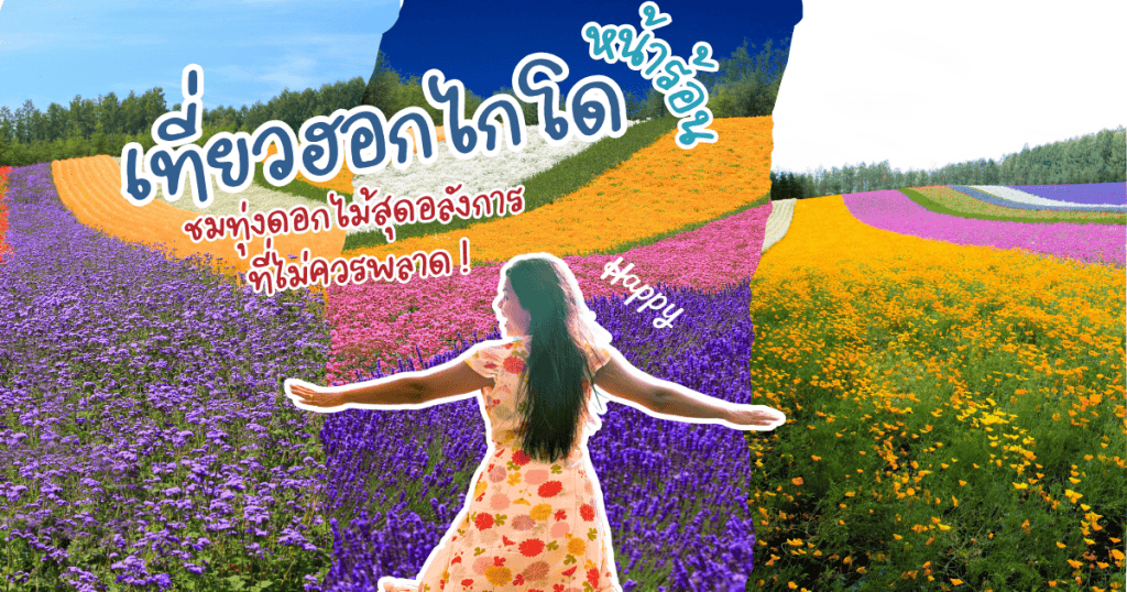 ฮอกไกโดทุ่งดอกไม้