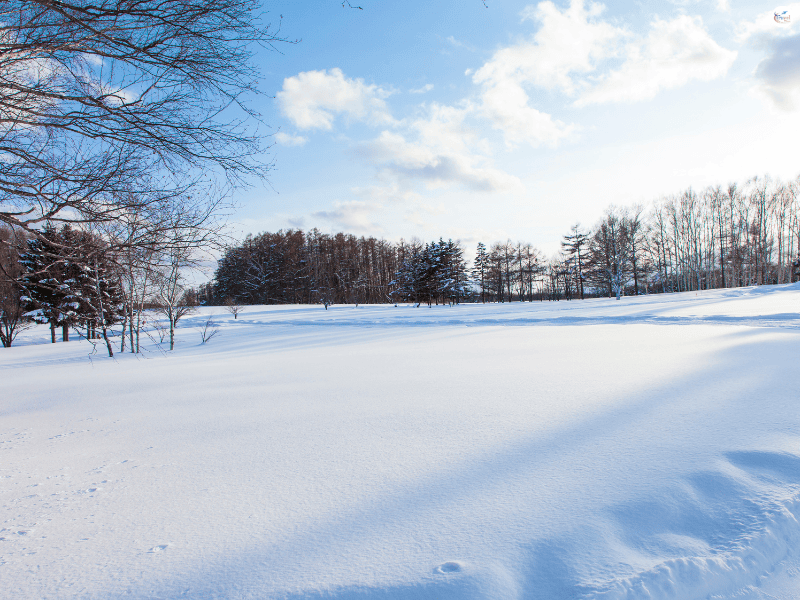 เที่ยวฮอกไกโด เดือนไหนดี