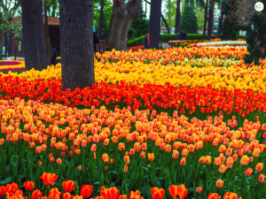 เที่ยวตุรกีเดือนไหนดี