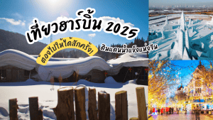 เที่ยวฮาร์บิ้น 2025