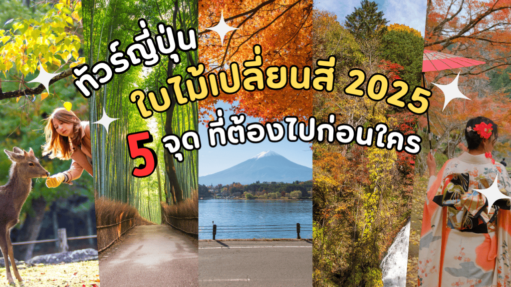 ทัวร์ญี่ปุ่นใบไม้เปลี่ยนสี 2025 | 5 จุดห้ามพลาดที่ต้องรีบไป!
