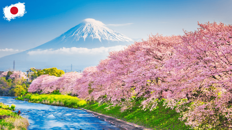 เที่ยวญี่ปุ่น ฤดูซากุระ เที่ยวญี่ปุ่น ฤดูซากุระ