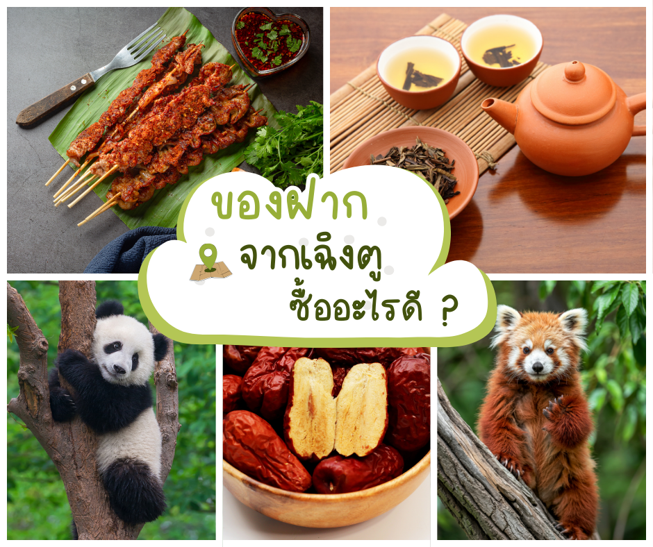 ของฝากจากเฉิงตู